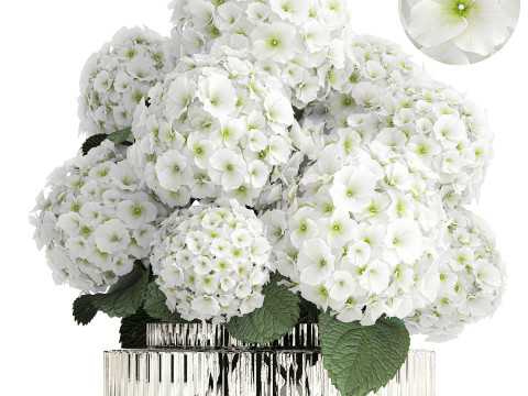 Beautiful festive bouquet decoration glass vase white hydrangea 603 3D Model
