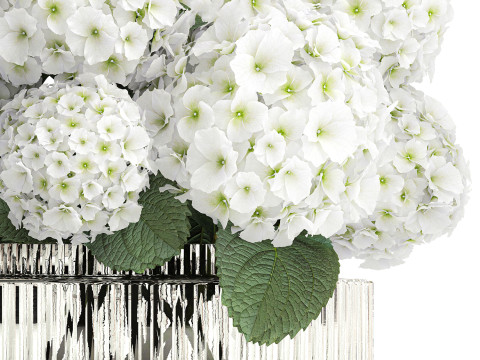 Beautiful festive bouquet decoration glass vase white hydrangea 603 3D Model