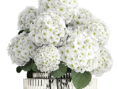 Beautiful festive bouquet decoration glass vase white hydrangea 603 3D Model