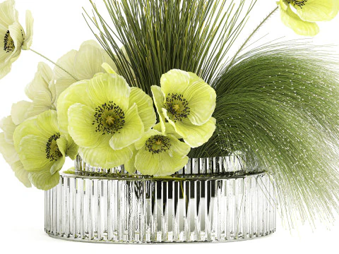 Ramo De Flores Verdes Amapola Y Hierba En Vidrio 603 Modelo 3D