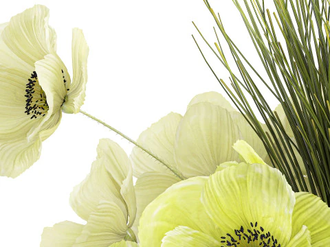 Ramo De Flores Verdes Amapola Y Hierba En Vidrio 603 Modelo 3D