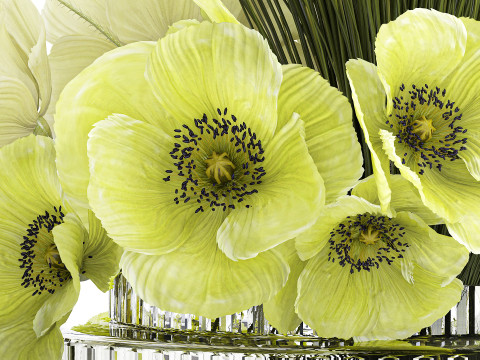 Bouquet Of Green Flowers Poppy And Grass In Glass 603 3D 모델