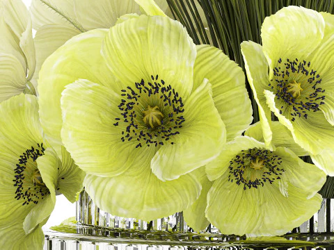 Ramo De Flores Verdes Amapola Y Hierba En Vidrio 603 Modelo 3D