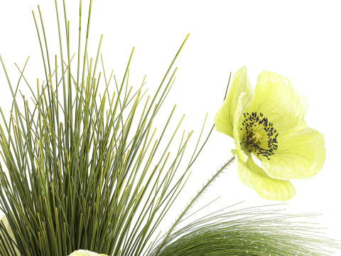 Ramo De Flores Verdes Amapola Y Hierba En Vidrio 603 Modelo 3D