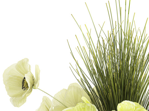 Bouquet Of Green Flowers Poppy And Grass In Glass 603 3D 모델