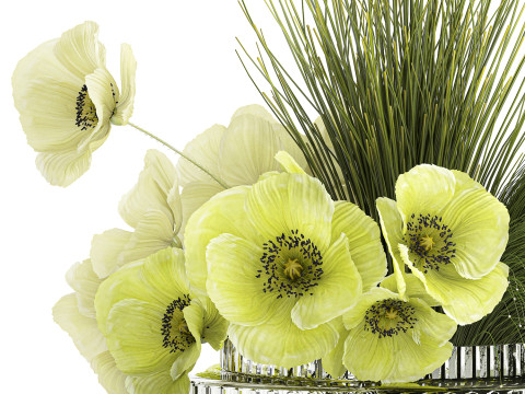 Bouquet Of Green Flowers Poppy And Grass In Glass 603 3D 모델