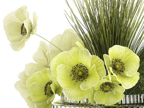 Ramo De Flores Verdes Amapola Y Hierba En Vidrio 603 Modelo 3D