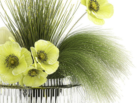 Bouquet Of Green Flowers Poppy And Grass In Glass 603 3D 모델