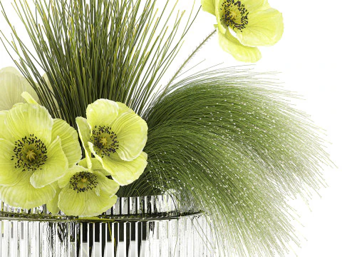 Ramo De Flores Verdes Amapola Y Hierba En Vidrio 603 Modelo 3D