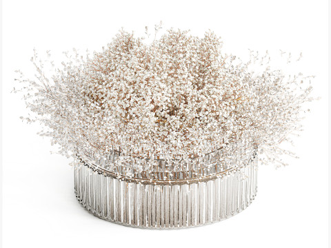 White branches flowers Gypsophila lunnik glass vase 606 3D Model