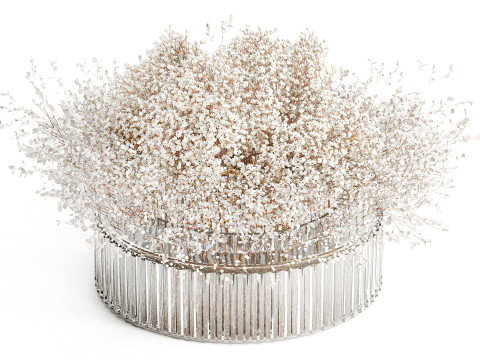 White branches flowers Gypsophila lunnik glass vase 606 3D Model