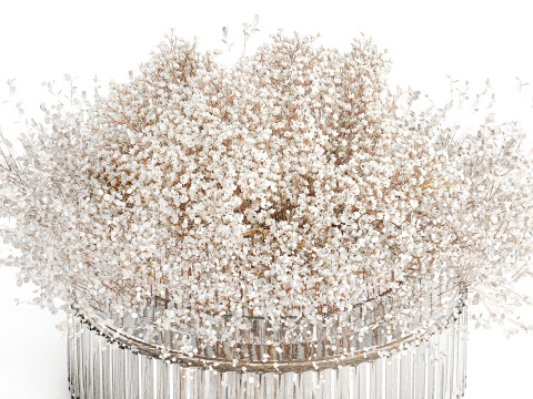 White branches flowers Gypsophila lunnik glass vase 606 3D Model