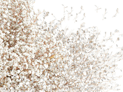 White branches flowers Gypsophila lunnik glass vase 606 3D Model