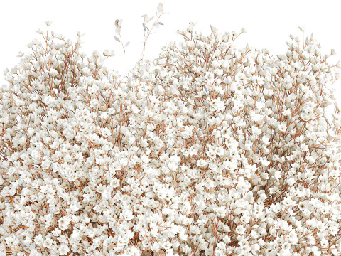 White branches flowers Gypsophila lunnik glass vase 606 3D Model