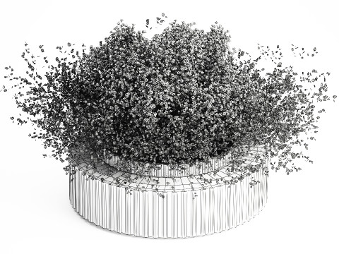 White branches flowers Gypsophila lunnik glass vase 606 3D Model