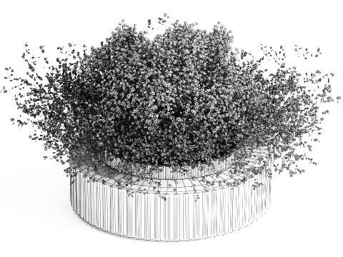 White branches flowers Gypsophila lunnik glass vase 606 3D Model