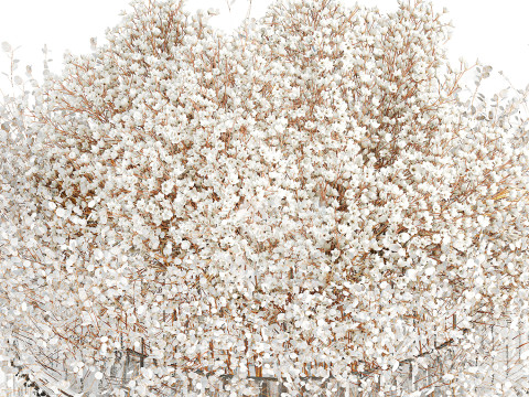 White branches flowers Gypsophila lunnik glass vase 606 3D Model