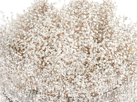 White branches flowers Gypsophila lunnik glass vase 606 3D Model