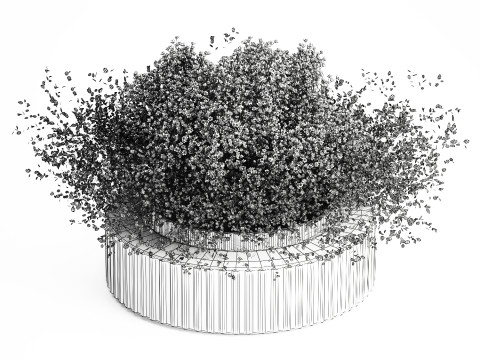 White branches flowers Gypsophila lunnik glass vase 606 3D Model
