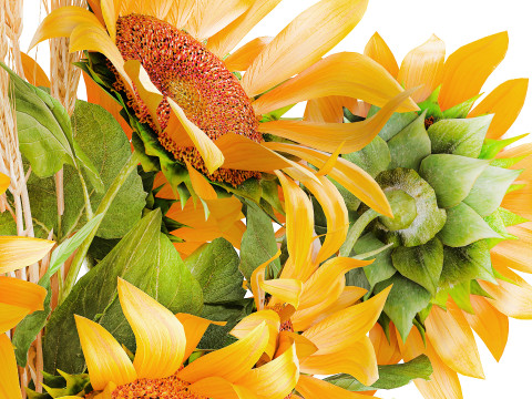 Beautiful bouquet yellow wild flowers wheat ears sunflower 607 3D Model