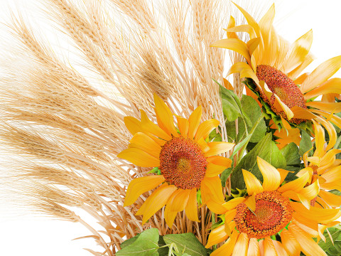 Beautiful bouquet yellow wild flowers wheat ears sunflower 607 3D Model