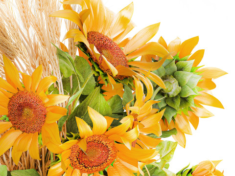 Beautiful bouquet yellow wild flowers wheat ears sunflower 607 3D Model