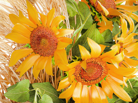 Beautiful bouquet yellow wild flowers wheat ears sunflower 607 3D Model