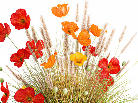 Beautiful Bouquet Red Yellow Wild Flowers Poppy grass vase Modello 3D