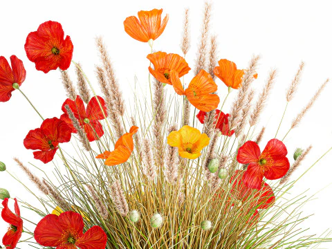 Beautiful Bouquet Red Yellow Wild Flowers Poppy grass vase 3D Model