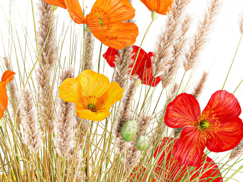 Beautiful Bouquet Red Yellow Wild Flowers Poppy grass vase Modello 3D