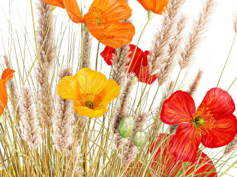 Beautiful Bouquet Red Yellow Wild Flowers Poppy grass vase 3D Model