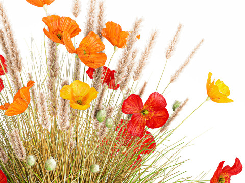 Beautiful Bouquet Red Yellow Wild Flowers Poppy grass vase Modello 3D
