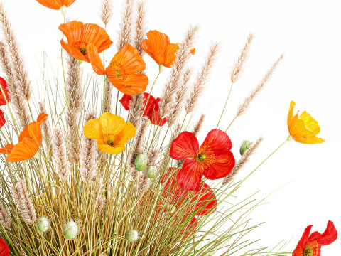Beautiful Bouquet Red Yellow Wild Flowers Poppy grass vase 3D Model