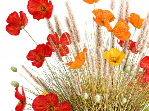 Beautiful Bouquet Red Yellow Wild Flowers Poppy grass vase 3D Model
