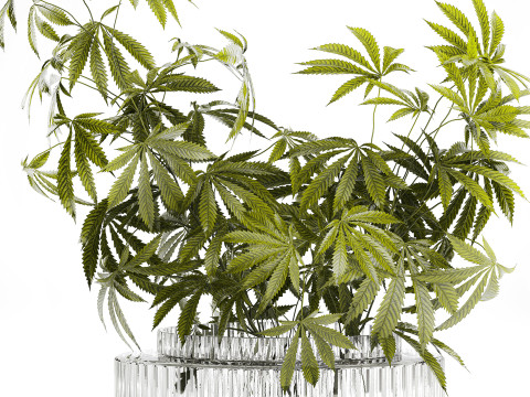 Modern Flower Bouquet Green Branches Cannabis Bush 609 3D Model