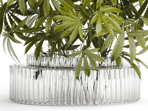 Modern Flower Bouquet Green Branches Cannabis Bush 609 3D Model