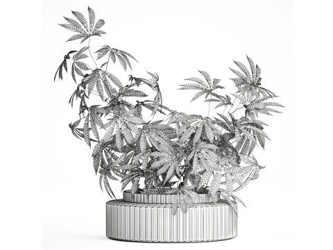 Modern Flower Bouquet Green Branches Cannabis Bush 609 3D Model