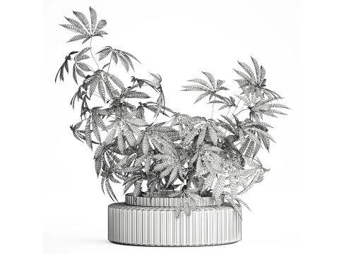 Modern Flower Bouquet Green Branches Cannabis Bush 609 3D Model