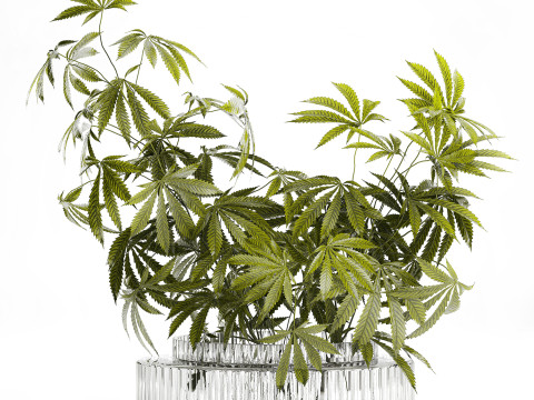 Modern Flower Bouquet Green Branches Cannabis Bush 609 3D Model