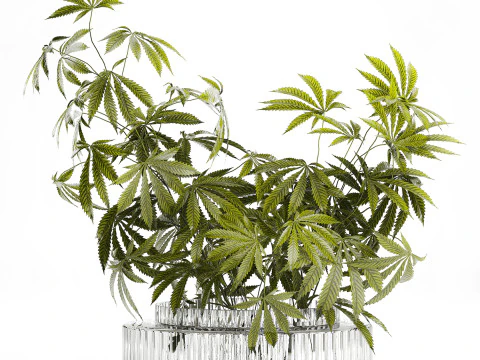 Modern Flower Bouquet Green Branches Cannabis Bush 609 3D Model