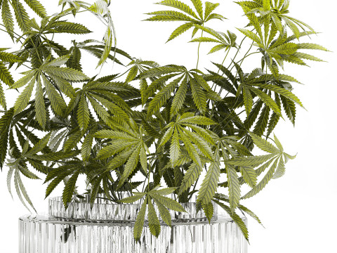 Modern Flower Bouquet Green Branches Cannabis Bush 609 3D Model