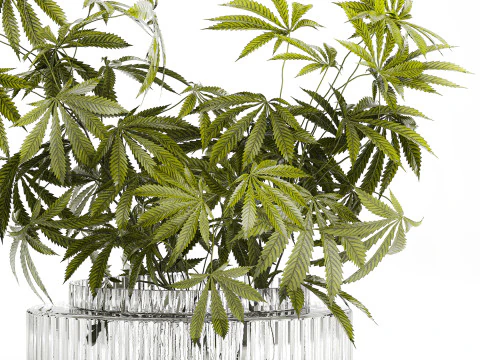 Modern Flower Bouquet Green Branches Cannabis Bush 609 3D Model
