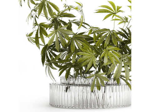 Modern Flower Bouquet Green Branches Cannabis Bush 609 3D Model