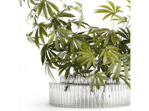 Modern Flower Bouquet Green Branches Cannabis Bush 609 3D Model