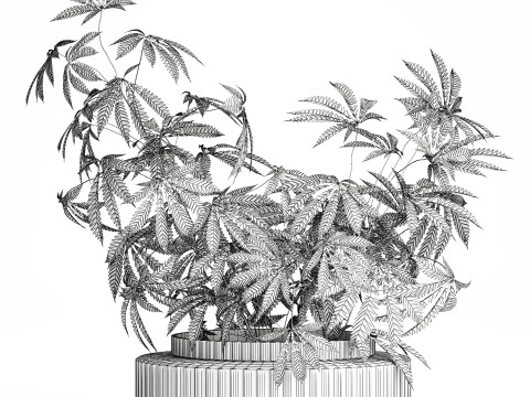 Modern Flower Bouquet Green Branches Cannabis Bush 609 3D Model