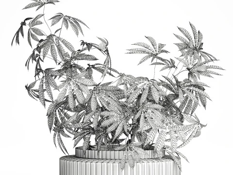 Modern Flower Bouquet Green Branches Cannabis Bush 609 3D Model