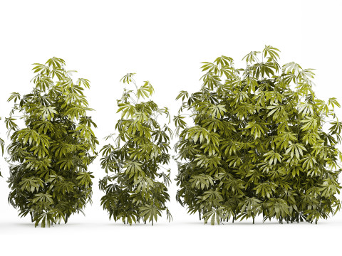 Collection bushes Garden Hemp Marijuana Cannabis Set 1488 3D 모델