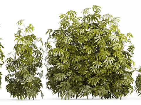 Collection bushes Garden Hemp Marijuana Cannabis Set 1488 3D 모델