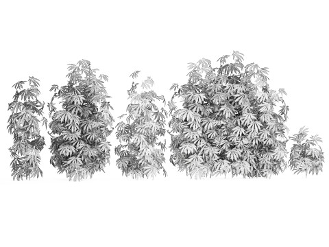 Collection bushes Garden Hemp Marijuana Cannabis Set 1488 3D 모델