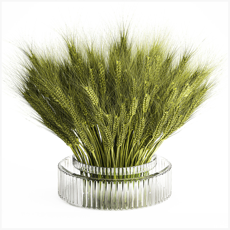 Green floral bouquet of wheat ears in a glass vase 610 3D 模型 .c4d .max .obj .3ds .fbx .stl .blend 
